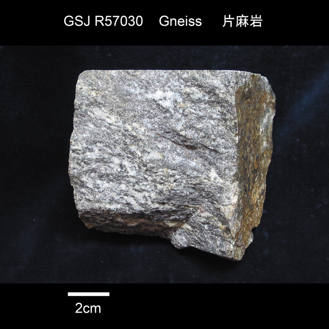 紫蘇輝石黒雲母柘榴石菫青石カミングトン閃石ゼードル閃石片麻岩