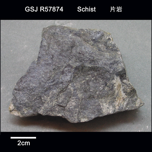 標本名：柘榴石含有緑泥石白雲母緑簾石クロス閃石片岩
