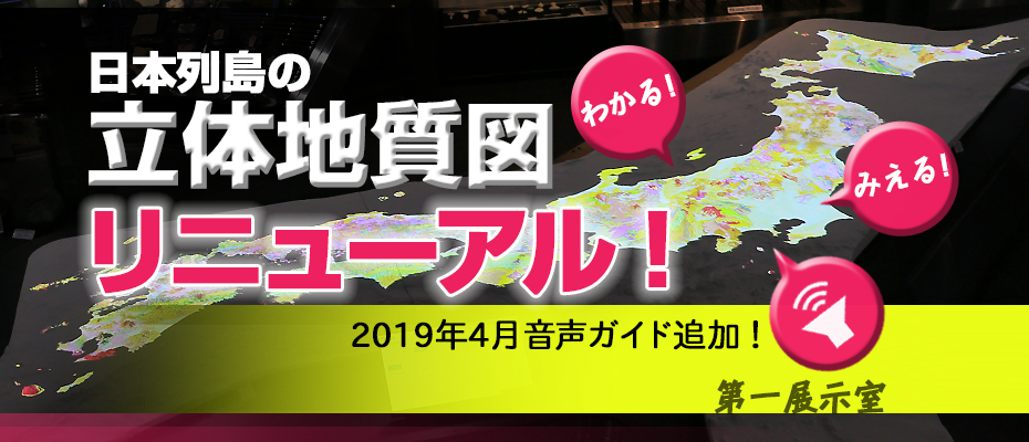 第1示室の「日本列島の地質」立体模型をリニューアル