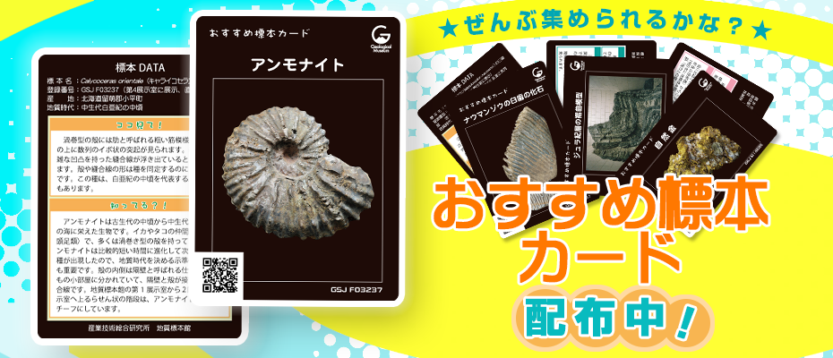 地質標本館 おすすめ標本カードをお渡ししています！