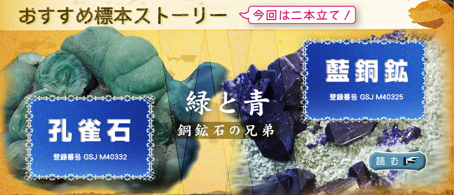 地質標本館 おすすめ標本ストーリー