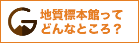 標本館ってどんなところ？