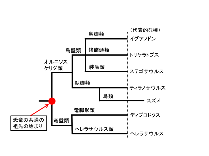 現在の恐竜の分類