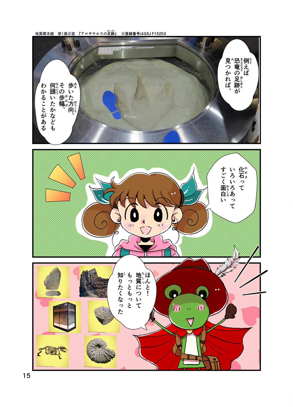 さわってもいい標本 の巻