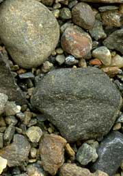特徴 砂岩 四万十層群の地質特性