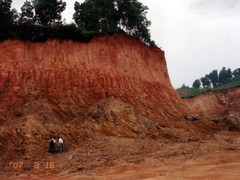 Weathered crust of the Triassic granites, REE-bearing saprolite