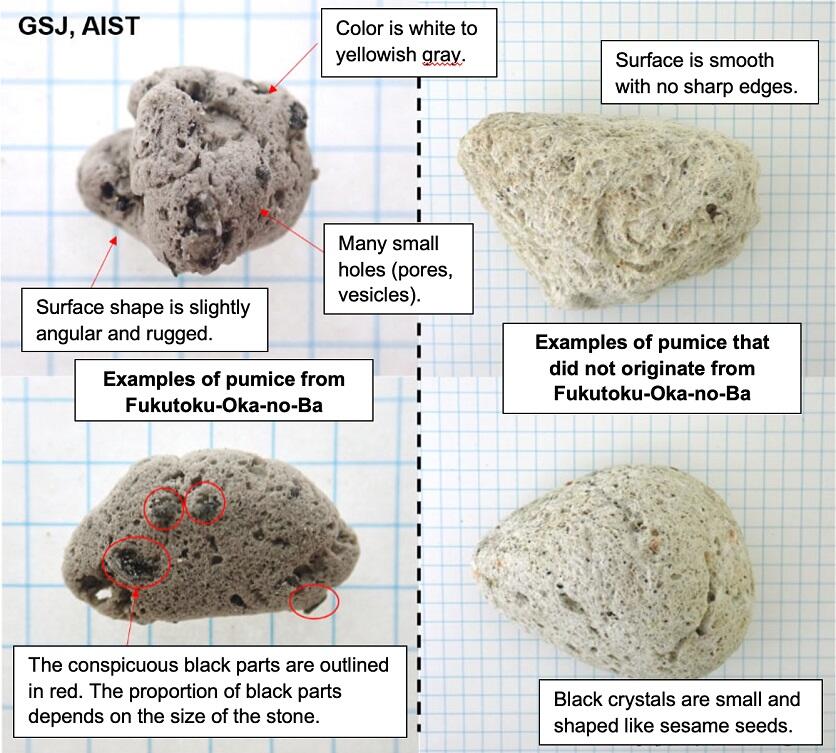 What Is Pumice Rock? Geology and Uses