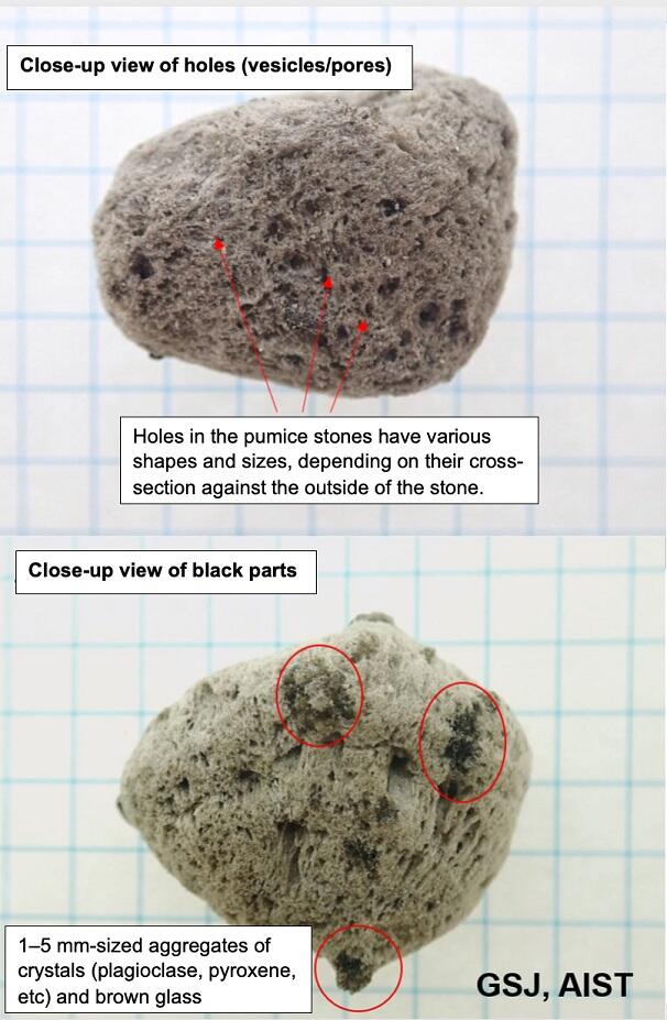 Pumice Stones