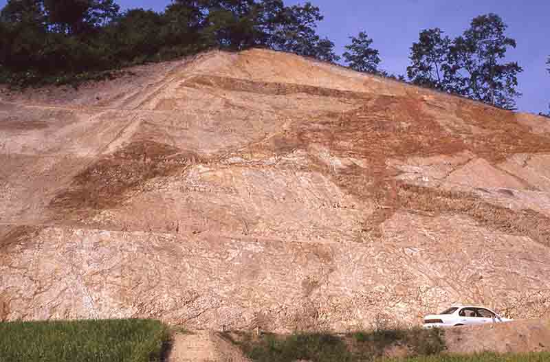 島根県，中東部の掛合町に見られる磁鉄鉱系花崗岩の風化露頭