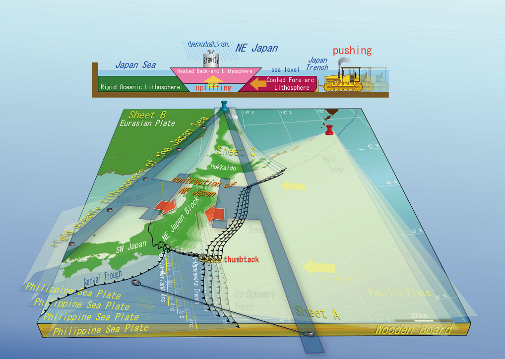 Geodynamic framework of the Japanese islands demonstrated by the analogue model