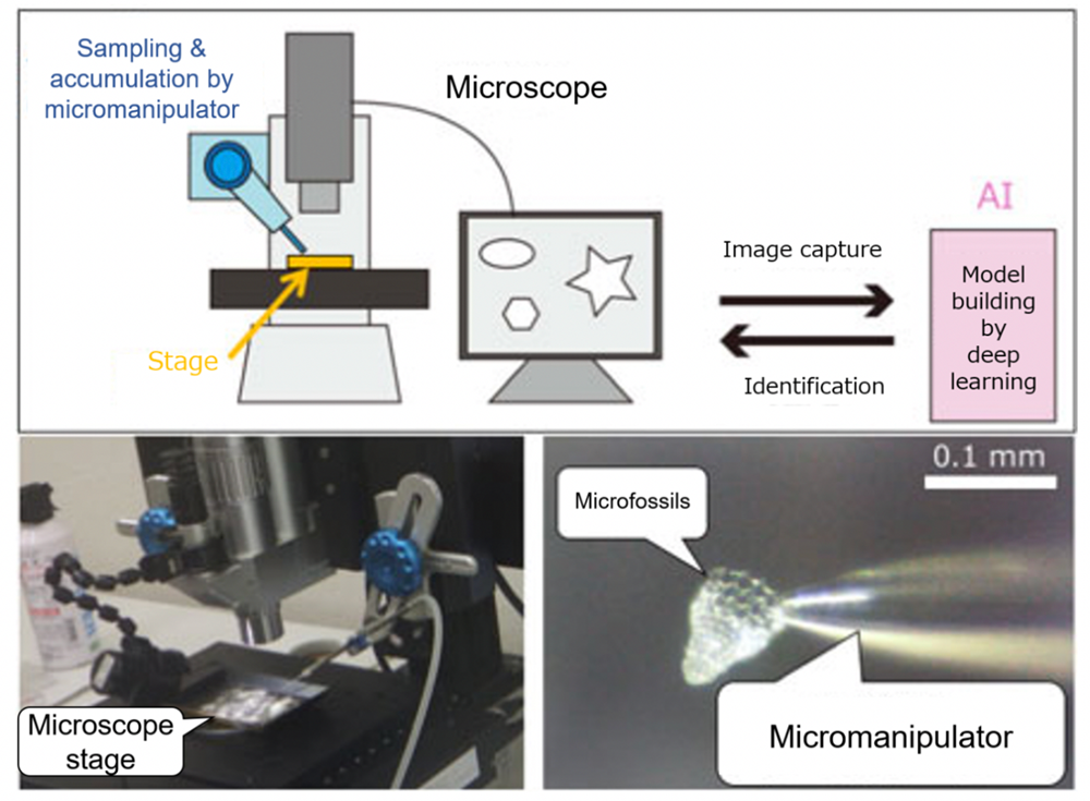 Fig. 1. Conceptual diagram of the system.Lower left: Microfossils are automatically picked up with a micromanipulator under the microscope.Lower right: Closeup photograph of the manipulator tip.