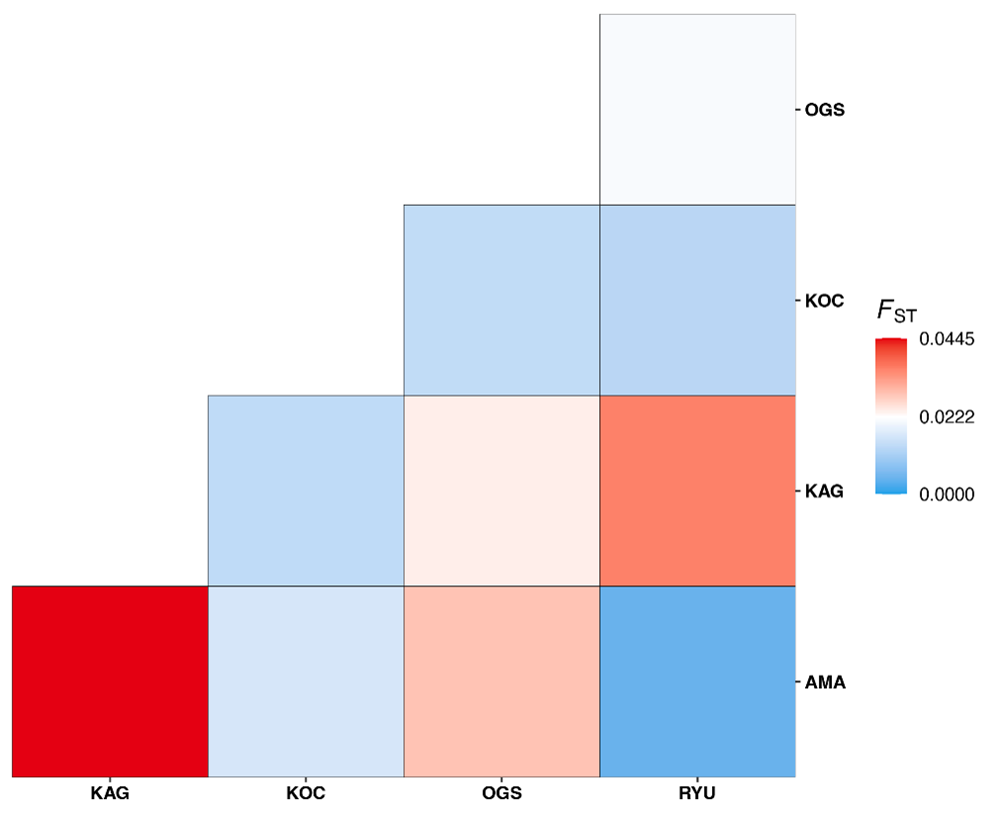  Fig. 1 Heatmap showing genetic differentiations between each population in terms of FST, a measure of genetic differentiation (Ryukyu: RYU, Amami: AMA, Kagoshima: KAG, Kochi: KOC, and Ogasawara: OGS). 