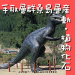 手取層産化石