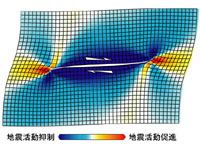 図：ペットボトル