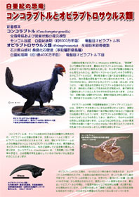 白亜紀の恐竜 コンコラプトルとオビラプトロサウルス類