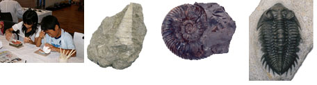 左から：レプリカ作成風景・ビカリア（巻貝）：新生代・アンモナイト：中生代・三葉虫：古生代」