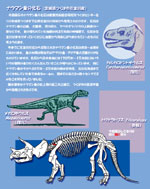 化石展示ポスター