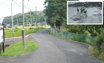 山陰海岸ジオパーク