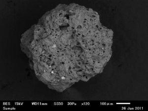 軽石質粒子の電子顕微鏡写真
