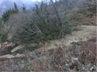写真2 中谷川左岸の地すべり(カクレ沢地すべり)頭部の泥状化した滑落物質