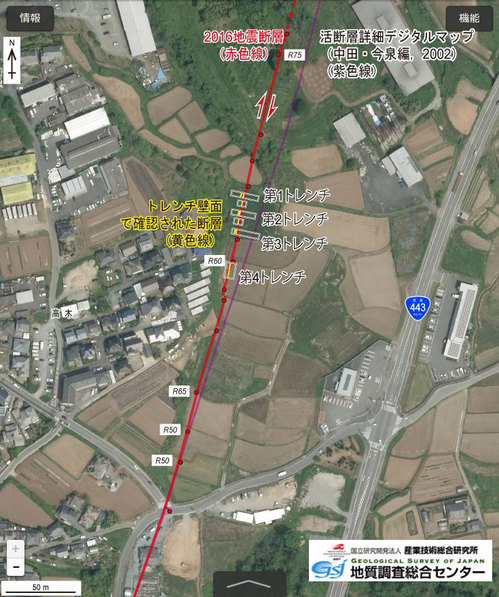 高木トレンチの位置とその周辺の地表地震断層の出現状況