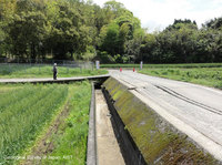 Fu1:嘉島町井寺付近（地表変位の西端）約10cmの右ずれ