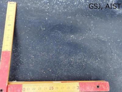 写真3 降灰の状況(火口から北北東側約4.3㎞の地点)。降灰量は2~3g/m2。