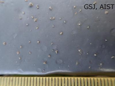 写真4 降灰状況(拡大)。写真3と同一の地点で撮影。画面下の目盛りは1mm間隔。細粒火山灰が凝集して降下してきたことがわかります。
