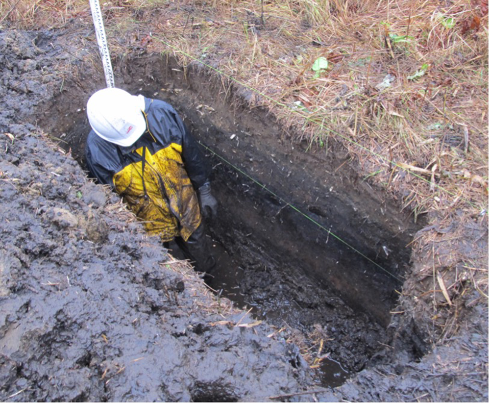写真3 三沢市三沢における調査風景(2011年11月撮影)