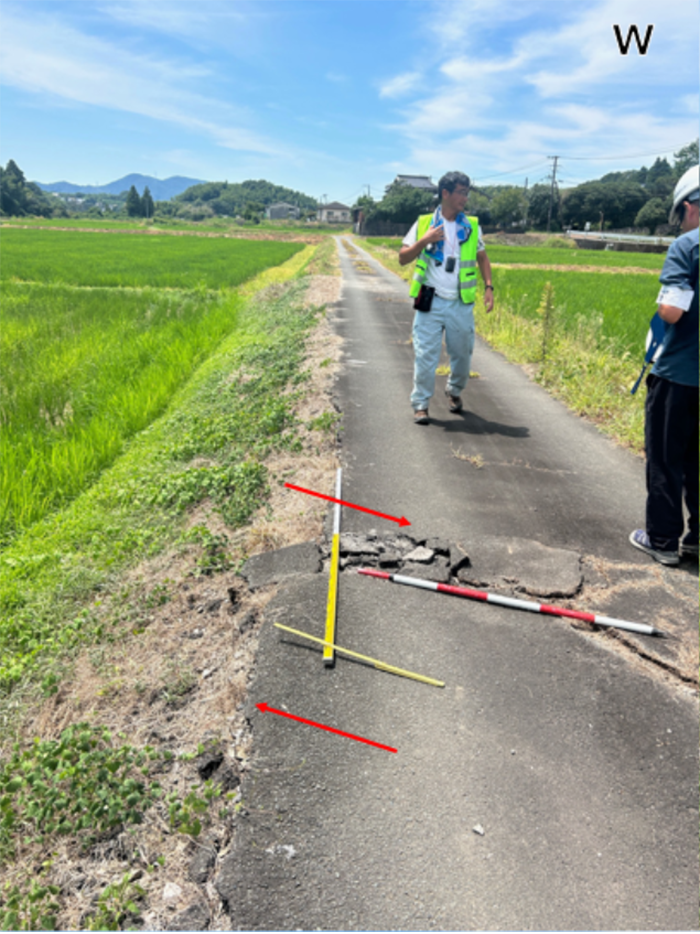 写真3 熊本県熊本市南区城南町鰐瀬の水田に見られる右横ずれ変位。右横ずれ変位は鰐瀬トレンチを通るように出現していた。畦道を基準にした時の右横ずれ変位量は23cm。写真は西方向に向かって撮影。(2026年8月1日撮影)