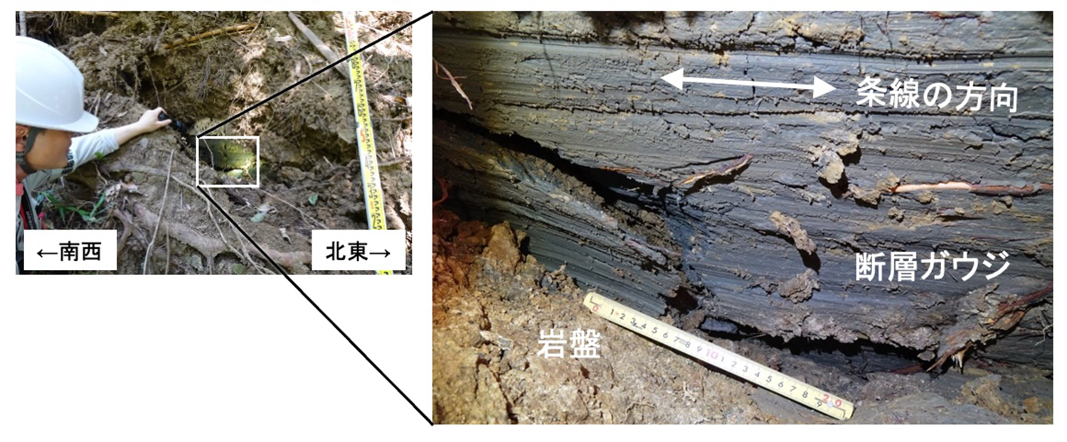 図2:娑婆神峠の地震断層露頭(地点④)。岩盤のヘリに断層破砕帯が見られます。断層破砕帯のうち、柔らかい粘土の部分を断層ガウジと言います。断層ガウジの表面に見られる傷(擦れた跡)が条線で、地震時の断層の動きを鮮明に記録しています。写真の角度によって条線が北東に傾き下がるように写っていますが、実際にはほぼ水平です。