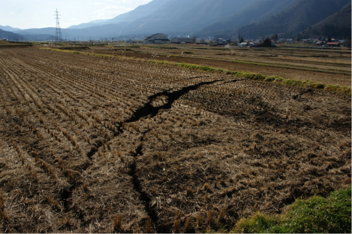 堀之内集落南東，田圃にみられる地すべりに伴う円弧状の開口亀裂