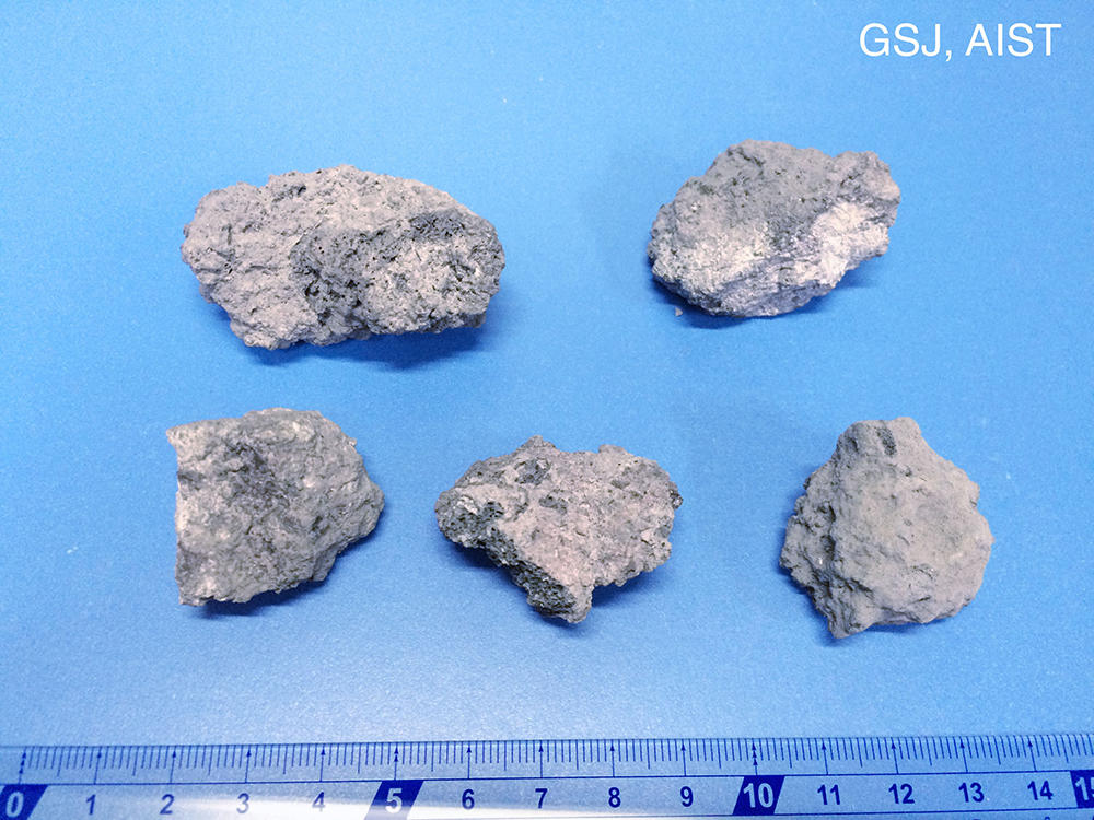 採取した火山礫(10月10日撮影、熊本県阿蘇市仙酔峡)。