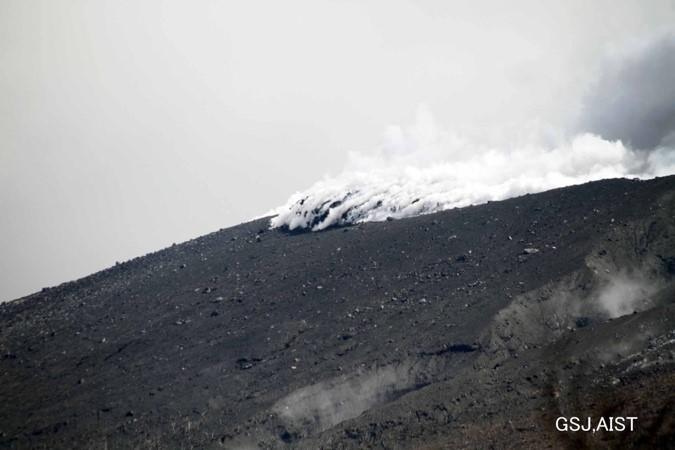 3月9日11時47分の溶岩流（火口南西約3km；新湯分岐分付近より）
