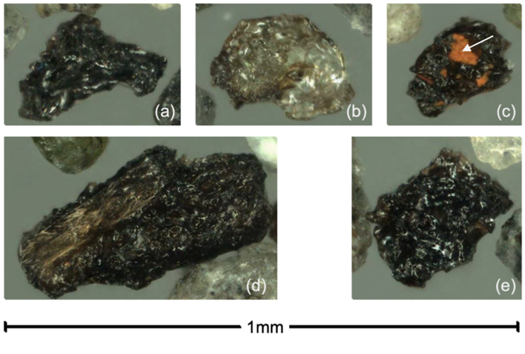 Shiny black to dark brown glass fragments (DG) with vesicles found in the Shinmoe-dake volcanic ash collected on 2 July.