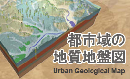 都市域の地質地盤図