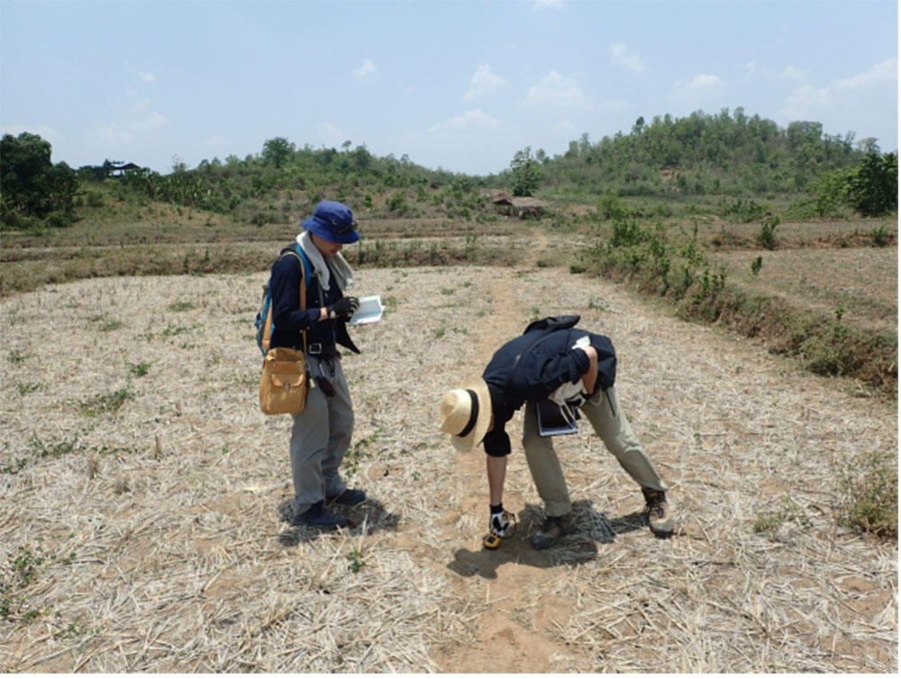 ミャンマーにおける地球化学探査の様子