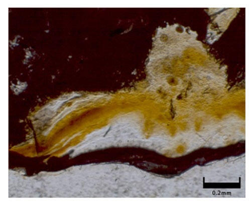 イモゴライト（黄色い部分）を含む土壌試料の光学顕微鏡写真