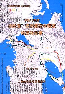 平成10年度概要報告書表紙