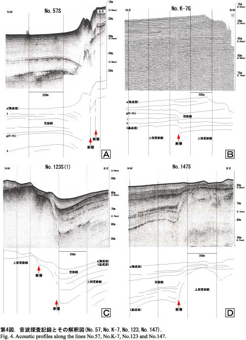 音波探査記録とその解釈図