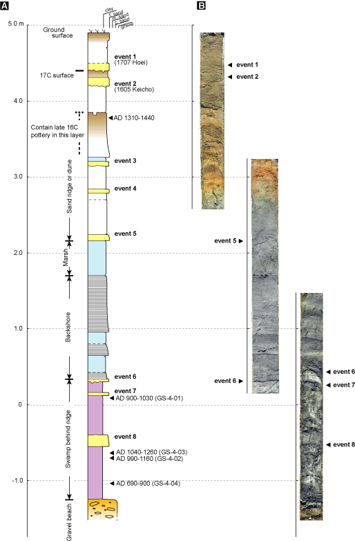 調査地点の模式柱状図