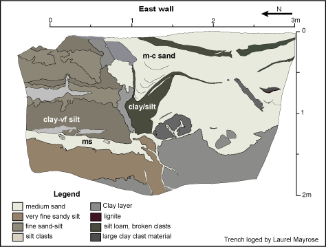 Pサイトトレンチで観察された噴砂構造
