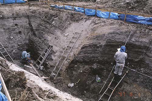 トレンチ壁面に露出した野坂断層