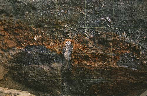 トレンチ壁面に露出した柳ヶ瀬断層；中央の垂直な剪断ゾーン