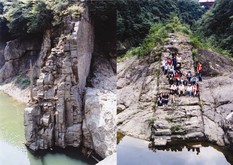 愛知県東部に見られる中期中新世岩脈