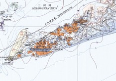20万分の１地質図幅「豊橋及び伊良湖岬」(2004) の一部
