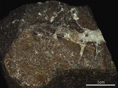 Jadeite vein in fine-grained metagabbro. GSJ R80958.