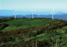 Hiraniwa mass, northern Kitakami Mountains