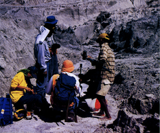 ピナツボ火山の火砕流堆積物の温度測定