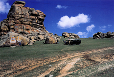 モンゴル国ハンガイ花崗岩の露頭